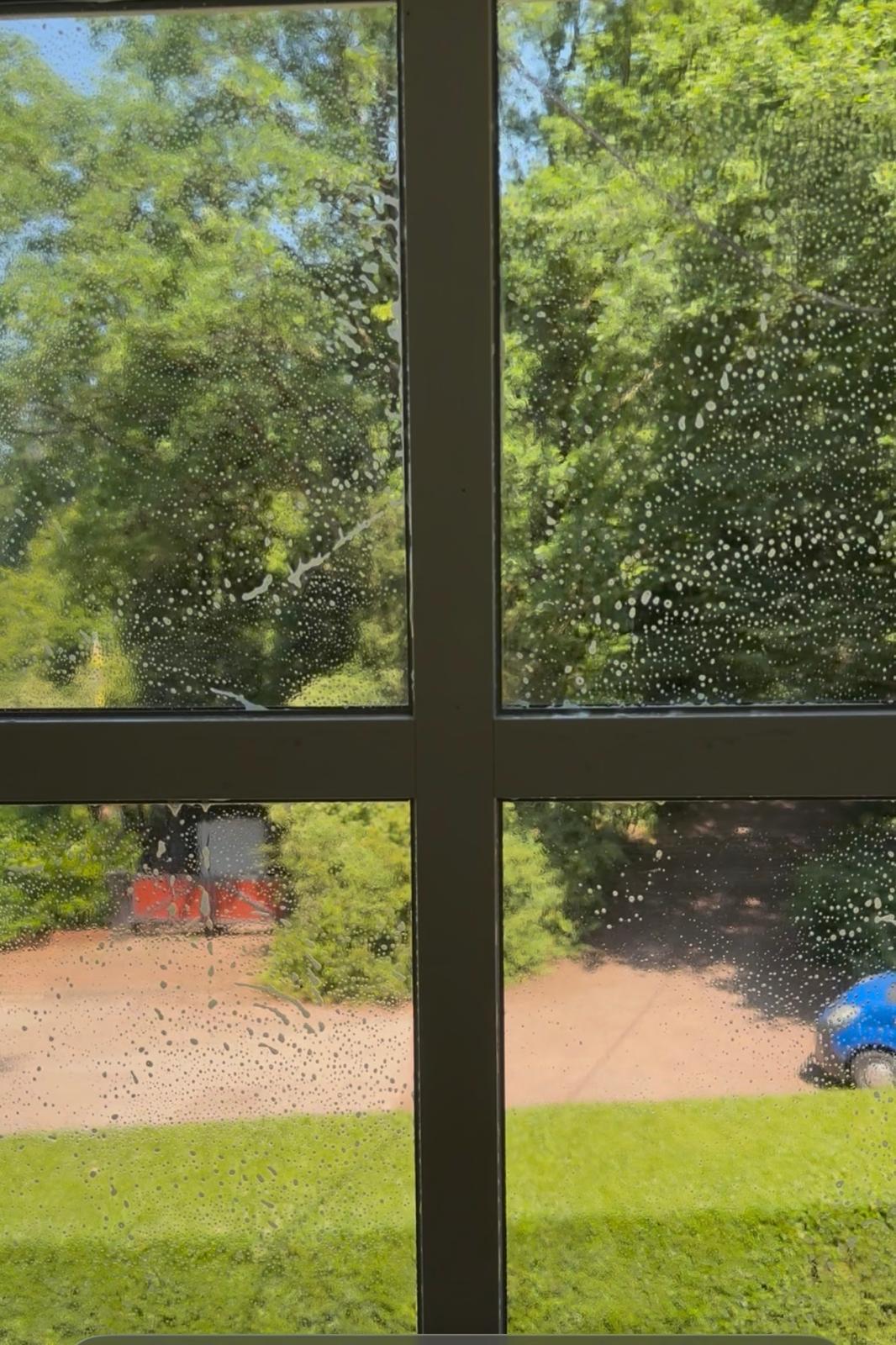 Fensterreinigung Völklingen